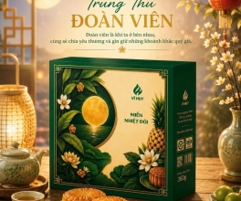 HỘP BÁNH TRUNG THU MIỀN NHIỆT ĐỚI